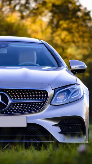銀色賓士轎車停在草地上，背景有秋樹。 — Mercedes Benz C300 壁紙