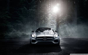 金色夕陽下的森林道路上，銀色跑車。 — Mercedes Benz C300 壁紙