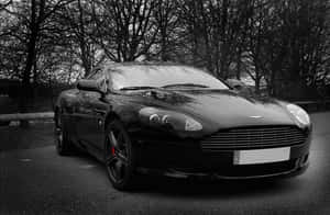 黑色Aston Martin跑車配備紅色制動卡鉗，停泊在光禿樹木附近。 — 奧斯頓馬丁 壁紙