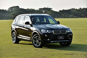 黑色BMW X3 SUV停放在草地田野上，遠處有樹木。 — MacBook Pro M4 壁紙
