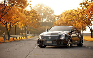 黑色Cadillac CTS-V停泊在秋日道路上，金色樹木在夕陽下。 — 凱迪拉克 壁紙