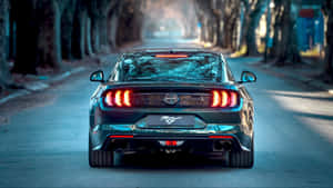 黑色Mustang跑車在暮色中沿著林蔭街道行駛。 — 野馬GIF 壁紙