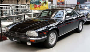 黑色捷豹XJ轎車帶有紅色條紋在汽車展廳中展示。 — 美洲豹汽車 壁紙