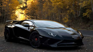 黑色藍寶堅尼 Aventador 停放在森林道路上，伴有金黃色秋樹。 — 4K 藍寶堅尼 壁紙