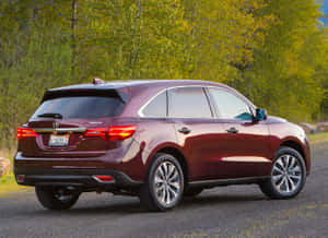 栗色Acura MDX SUV停泊在森林附近的碎石路上。 — 美學白 壁紙