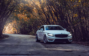 白色豪華車在日落時分駛過秋日森林。 — Mercedes Benz C300 壁紙