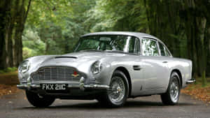 銀色Aston Martin DB5停泊在鋪滿落葉的森林道路上。 — 奧斯頓馬丁 壁紙