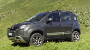 消光灰色 Fiat Panda Cross SUV 停放在草地山坡上。 — 可愛熊貓 壁紙