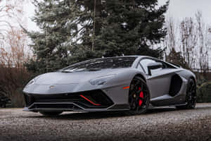 消光灰色藍寶堅尼 Aventador 紅色制動器，停在碎石路上，靠近樹木。 — 跑車 壁紙