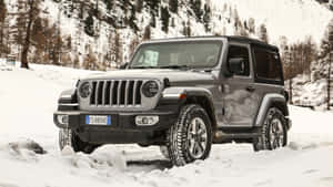 灰色Jeep Wrangler在松樹環繞的雪地山區行駛。 — 吉普 壁紙