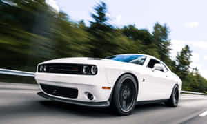 白色 Dodge Challenger 在陽光明媚的高速公路上疾駛，伴隨著模糊的綠色樹木。 — 道奇挑戰者 壁紙