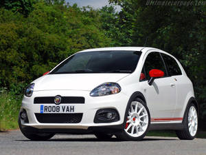白色Fiat Punto配紅色飾邊停在林蔭大道上。 — 飛雅特 壁紙