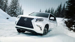 白色Lexus SUV在雪地森林中行駛。 — 凌志 壁紙