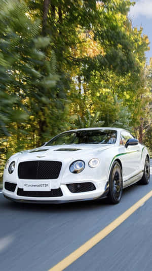 白色賓利 Continental GT3R 在陽光明媚的秋日森林中奔馳。 — 白色 iPhone 壁紙