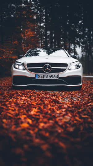 白色賓士轎車停在森林中的橙色秋葉床上。 — Mercedes-Benz 壁紙