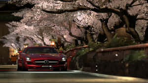 紅色跑車在夜晚的櫻花樹下行駛。 — 賽車 壁紙