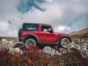 紅色Jeep Wrangler在岩石上行駛，有紅花和陰天。 — 山景 壁紙