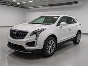 白色 Cadillac XT5 豪華 SUV 在乾淨的室內展示廳中。 — 凱迪拉克 壁紙
