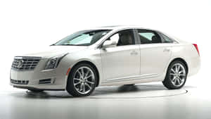白色 Cadillac XTS 轎車在攝影棚內，配有拋光合金輪圈和鍍鉻飾件。 — 凱迪拉克 壁紙