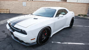 白色Dodge Challenger跑車，黑色點綴，停在停車場。 — 道奇挑戰者 壁紙