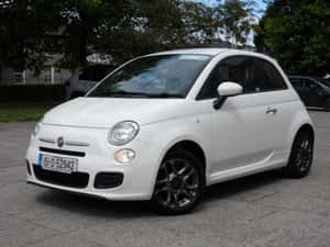 白色Fiat 500小型車停放在鋪砌的停車場上，後面有樹木和房屋。 — 飛雅特 壁紙
