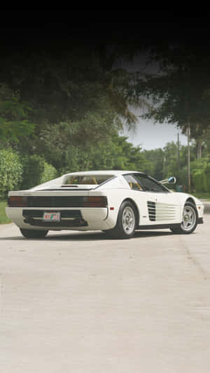 白色法拉利 Testarossa 停泊在混凝土表面上的熱帶樹木下。 — F1 iPhone 壁紙
