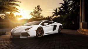白色藍寶堅尼 Aventador 在金色夕陽下停泊在磚砌車道上，旁邊有棕櫚樹。 — 4K 藍寶堅尼 壁紙