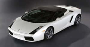 白色藍寶堅尼 Gallardo Spyder 敞篷跑車，配備黑色車頂和車輪，在攝影棚環境中。
