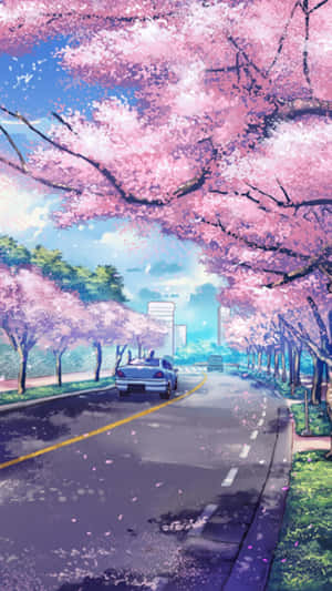 藍色汽車在陽光明媚的日子裡行駛在粉紅色櫻花樹下。 — 櫻島麻衣 壁紙