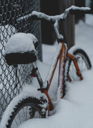 一輛橙色腳踏車埋在鐵絲網圍欄旁的雪中。 — 登山車 壁紙