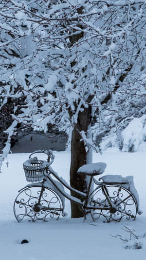 一輛覆蓋著雪的華麗金屬腳踏車在冬天靠在一棵積雪的樹上。 — 酷寒冬季 壁紙