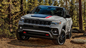 銀色Jeep Compass帶紅色條紋停放在松樹林中。 — 汽車 壁紙