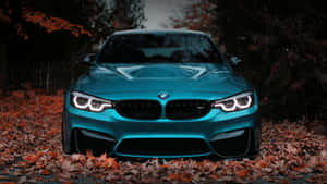夜晚，青綠色的BMW M4停放在橙色的秋葉中。 — Mercedes Benz C300 壁紙