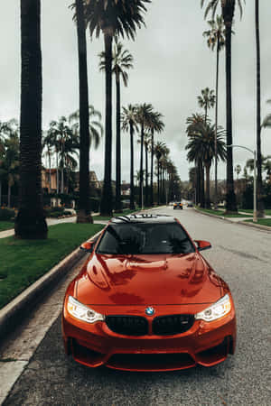 橙色BMW M4停在棕櫚樹成蔭的街道上，車頭燈亮著。 — 三星Galaxy 壁紙