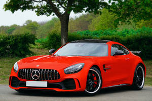 紅色 Mercedes-AMG GT 跑車停放在樹下，周圍是綠色的戶外環境。 — 豪華車 壁紙