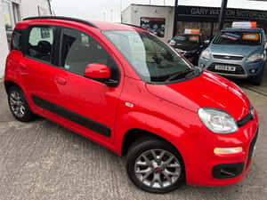 紅色Fiat Panda汽車停放在汽車經銷商的場地。 — 可愛熊貓 壁紙