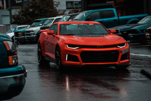 紅色雪佛蘭Camaro ZL1停放在城市停車場的潮濕瀝青上。 — 野馬GIF 壁紙