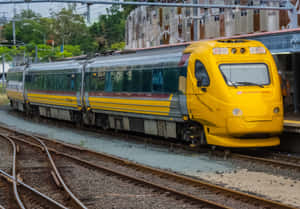 黃色昆士蘭鐵路列車在車站月台，塗鴉建築和綠樹。 — 火車 壁紙