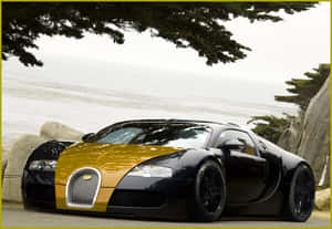 黑色和金色的Bugatti Veyron停泊在樹枝下的海邊。 — 布加迪 GIF 壁紙