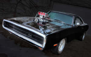 Fast Cars