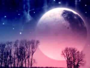 光禿禿的樹木在巨大發光的月亮和星空襯托下形成剪影。 — 月光 壁紙