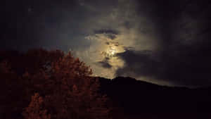 月光穿過雲層，灑落在夜晚的黑暗森林上。 — 黑夜 壁紙