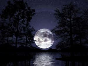 滿月映照湖面，樹木剪影襯托繁星夜空。 — 月夜星空 壁紙