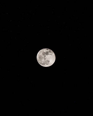 滿月在星空下明亮地照耀 — 萬聖節暗黑 壁紙
