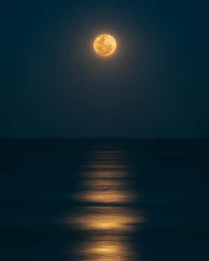 滿月映照在夜晚平靜的海洋上 — 海景 壁紙