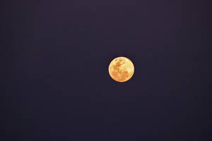 滿月在黑暗的夜空中閃耀 — 鬼店 壁紙