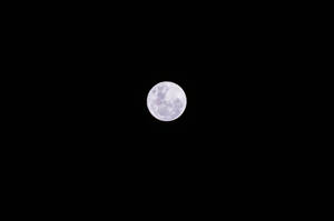 滿月位於黑暗夜空中央 — 月光 壁紙