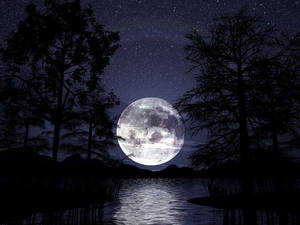 滿月高懸於湖面之上，樹木剪影襯托著繁星點點的夜空。 — 高畫質月亮 壁紙