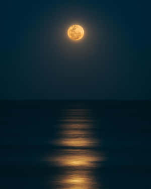 滿月倒映在夜間平靜的海洋上 — 海灘日落 壁紙