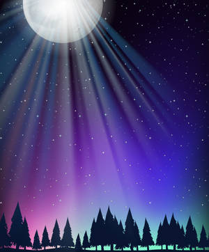 月光穿過星星照耀在夜晚的森林剪影上。 — 高畫質月亮 壁紙